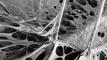 Spider Webs and Latex?