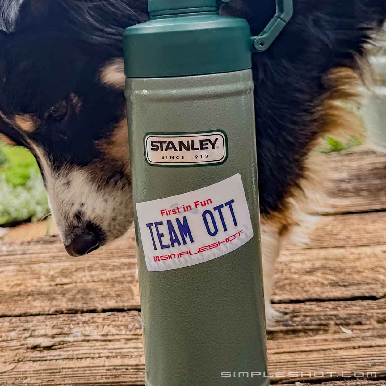 Team OTT/TTF Stickers